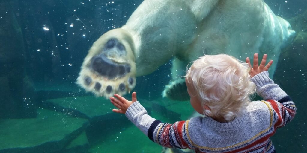 Thoughtful buyer comparing different places to live in France before making a final decision